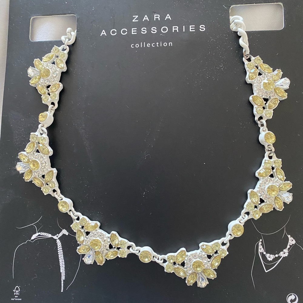 BNWT Zara Front and Back Costume Necklace